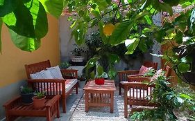 Green House